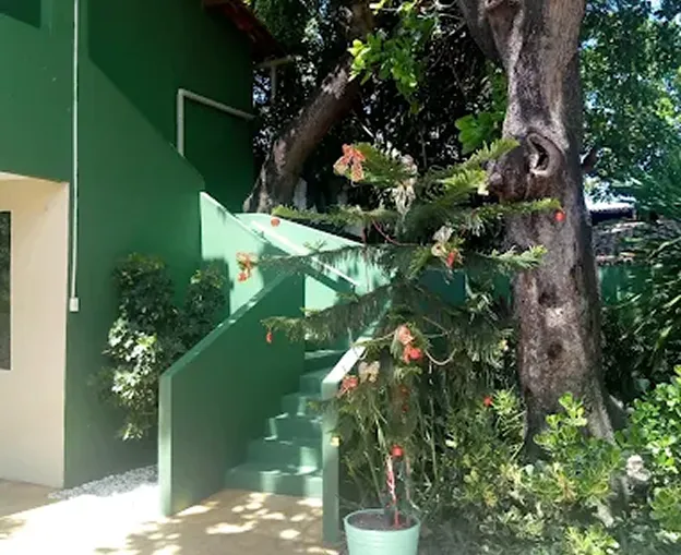 Casa de Vovó Dedé
